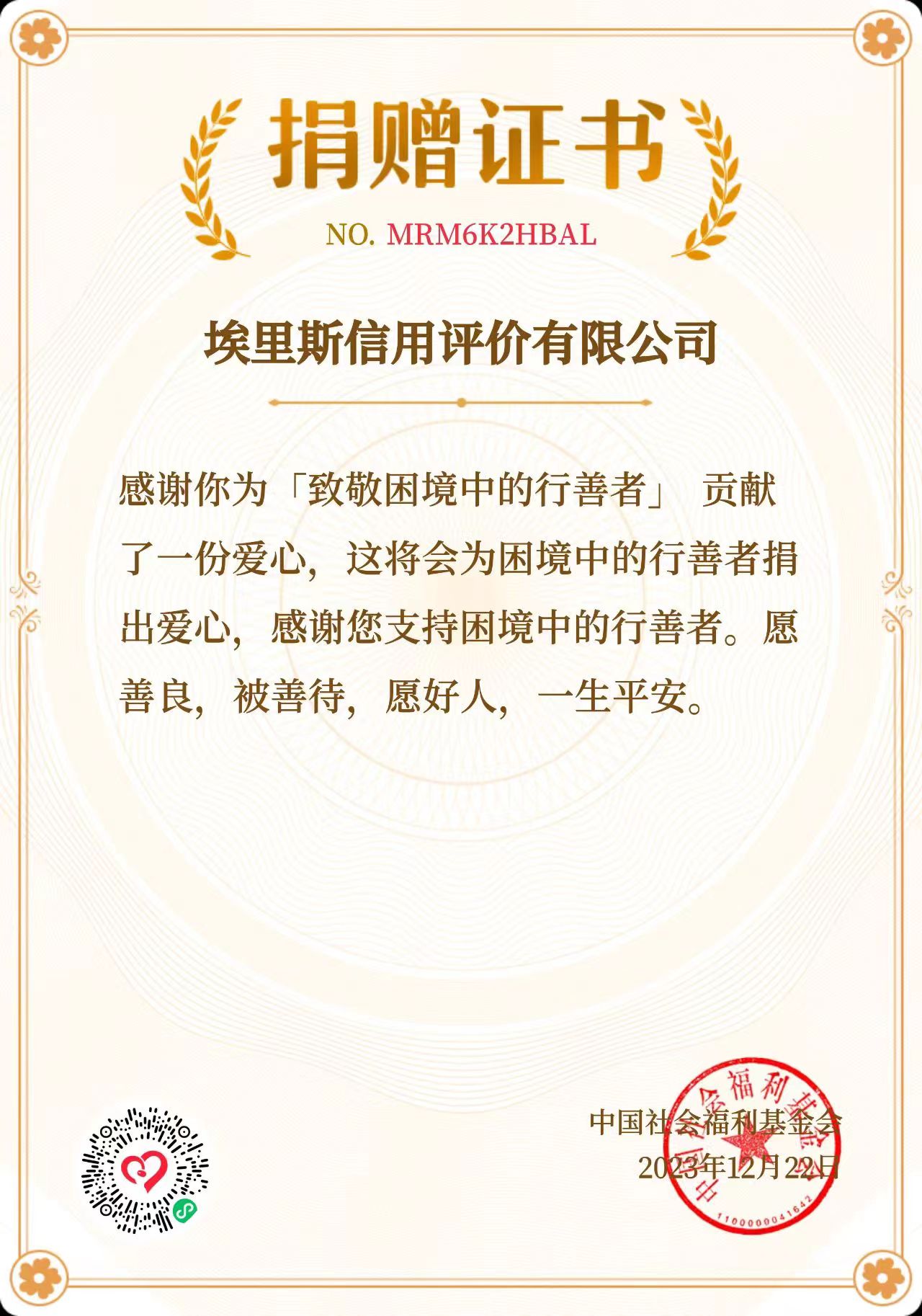 埃里斯  中国社会福利基金会.jpg